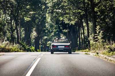 Car on road along trees