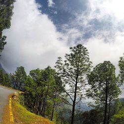 Road amidst trees against cloudy sky