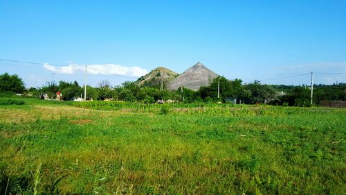 Scenic view of green landscape against clear blue sky