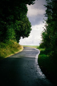 Empty road with trees in background