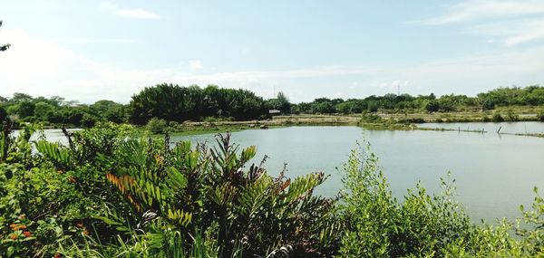 Scenic view of lake against sky