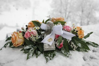 Close-up of white roses in snow