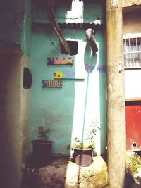 Potted plants outside building