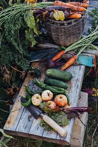 High angle view of pumpkins in crate