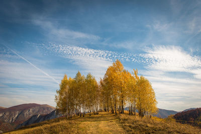 Trees on landscape against sky during autumn