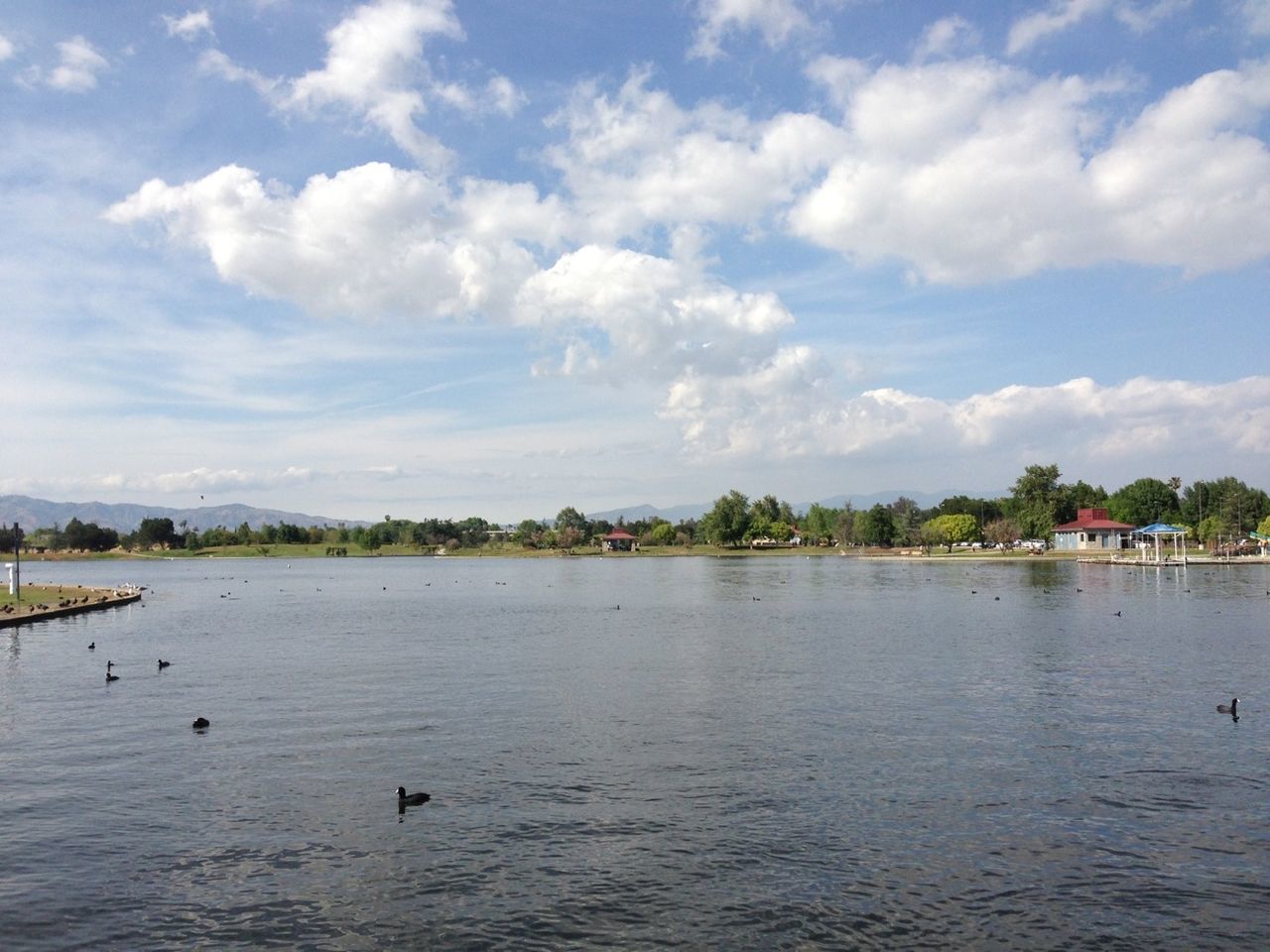 water, sky, bird, animal themes, lake, waterfront, cloud - sky, animals in the wild, tree, tranquil scene, cloud, river, scenics, nature, tranquility, wildlife, beauty in nature, cloudy, rippled, day