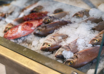 High angle view of fish for sale in market
