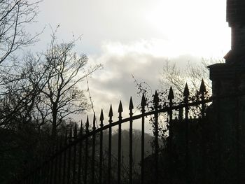 Silhouette of bird against sky