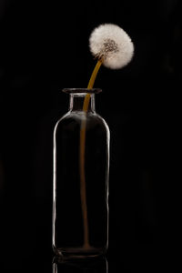 Close-up of drink against black background