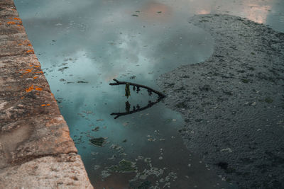 High angle view of puddle