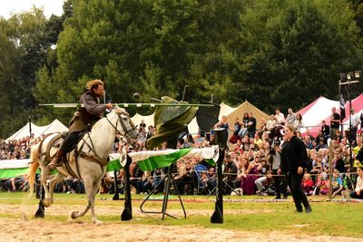 Rear view of horse