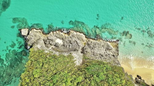 Scenic view of sea