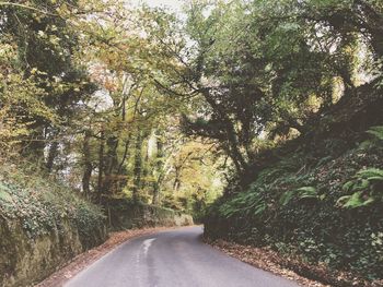 Empty road along trees in forest