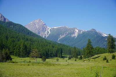 Scenic view of landscape and mountains against clear sky