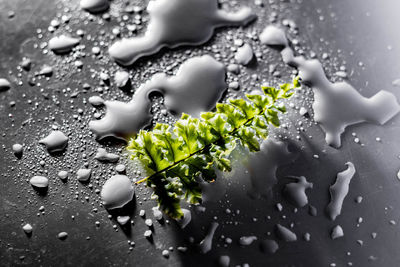 High angle view of water drops on table