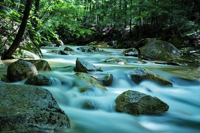 Scenic view of waterfall in forest