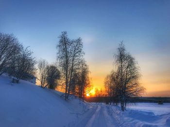 Bare trees on snow covered landscape during sunset