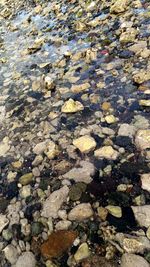 Full frame shot of rocks