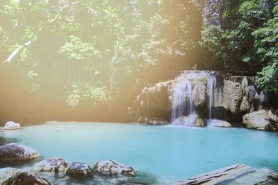 Scenic view of waterfall in forest