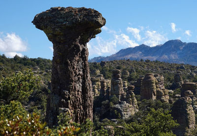 Chiricahua national monument rock formations, trees, and mountains against sky