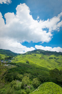 Scenic view of green landscape against sky