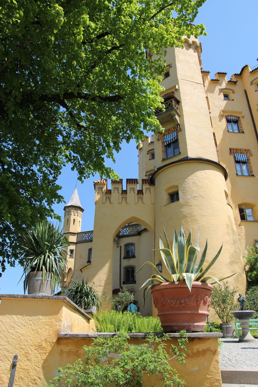 LOW ANGLE VIEW OF TREE AND BUILDING AGAINST SKY