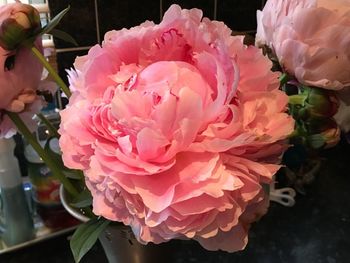 Close-up of pink rose bouquet