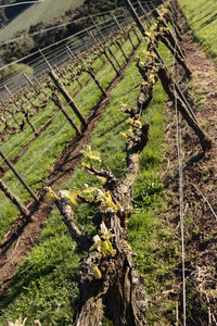 High angle view of a fence