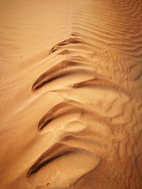 Full frame shot of sand dunes in desert