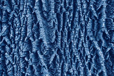 Closeup macro of old aged beautiful oak maple tree bark.  toned with classic blue 2020 color.