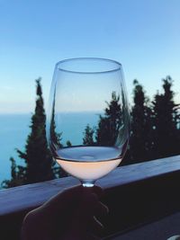 Cropped hand holding wineglass against sky