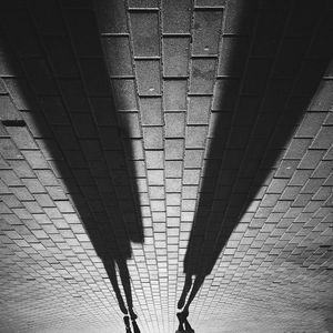 Shadows of people walking on road