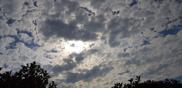 Low angle view of silhouette trees against sky