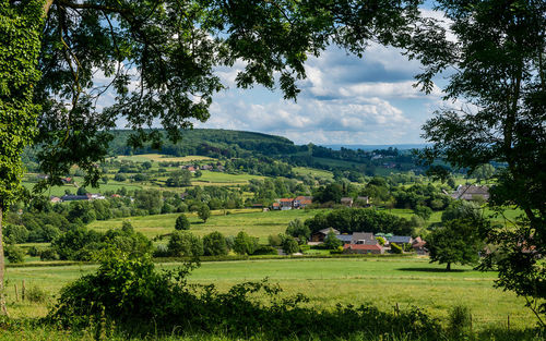 Scenic view of landscape