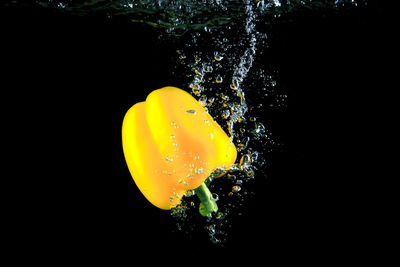 Close-up of yellow water splashing against black background