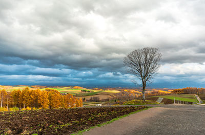 Road amidst field against sky