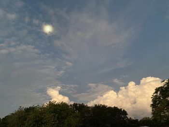 Low angle view of tree against sky