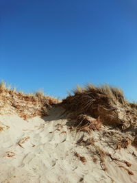 Sand hills on the beach