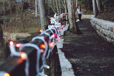 Lighted hike