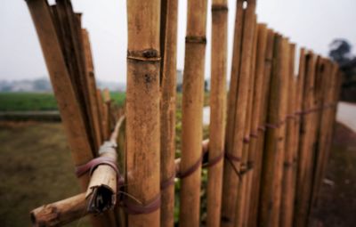 Close-up of bamboo fence