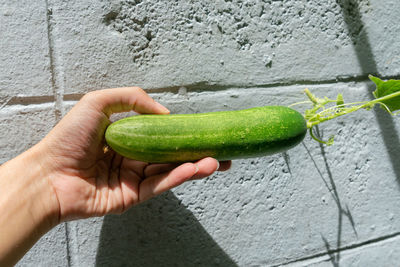 Cropped image of person holding fruit against wall