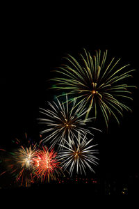 Firework display at night