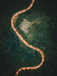 High angle view of road amidst trees