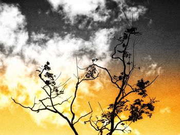 Low angle view of silhouette bare tree against dramatic sky