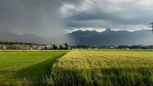 Scenic view of agricultural field against sky