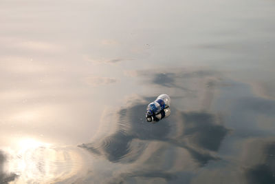 High angle view of ducks in lake