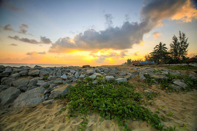 Scenic view of beach against sky during sunset