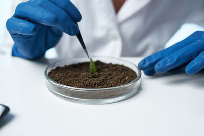 Close-up of hand holding plant