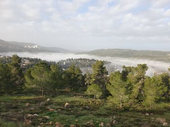 Scenic view of landscape against sky