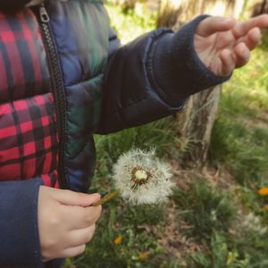 Midsection of woman holding flower on field